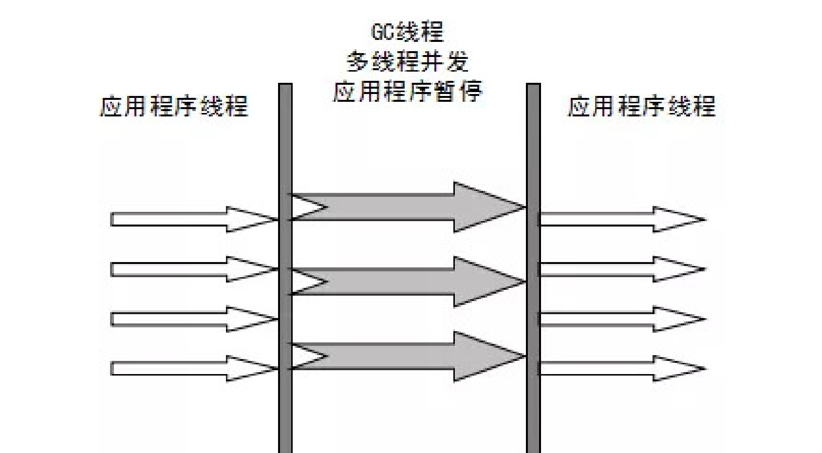 image-diMC.png